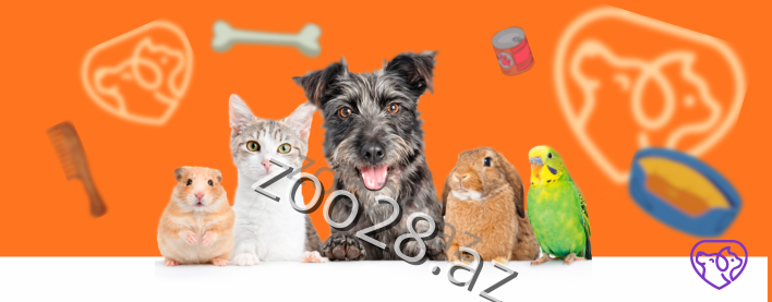 Ev heyvanları üçün yay mövsümündə vacib məsləhətlər